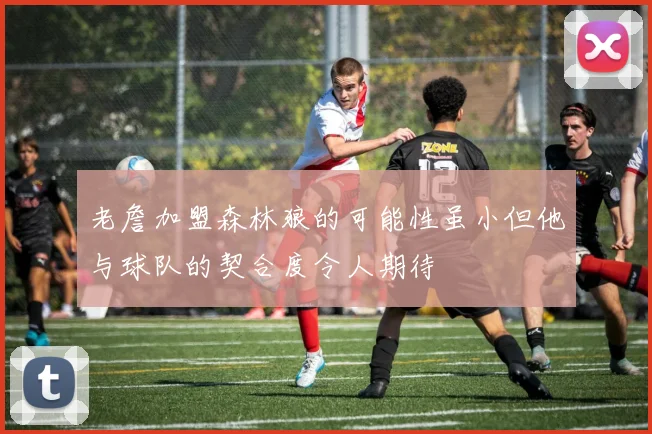 老詹加盟森林狼的可能性虽小但他与球队的契合度令人期待